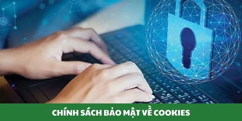 Thông tin chính sách bảo mật về Cookies
