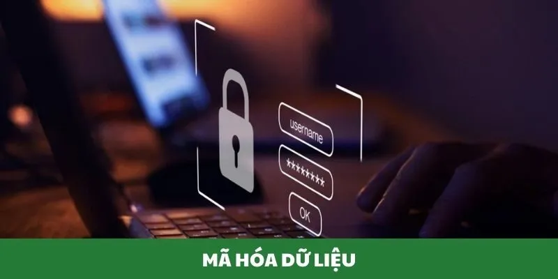 Hệ thống mã hóa dữ liệu để bảo vệ an toàn thông tin