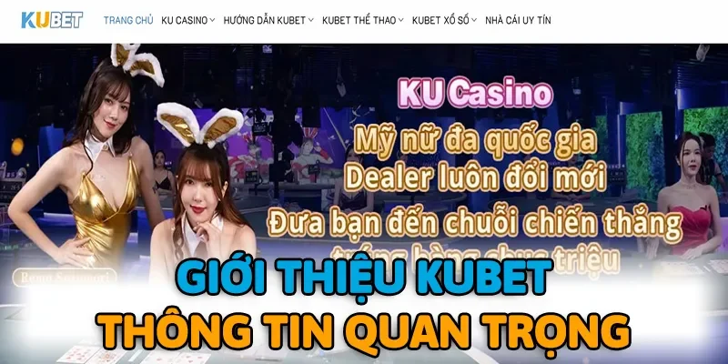 Giới thiệu KUBET cung cấp thông tin quan trọng về nhà cái