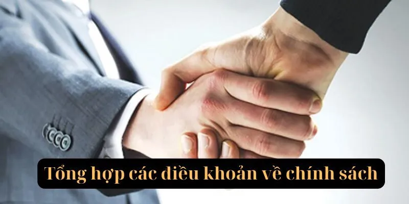 Các điều khoản cụ thể liên quan đến miễn trừ trách nhiệm